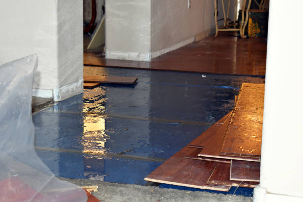 Professional Basement Flood Cleanup technician working in Centerville, PA